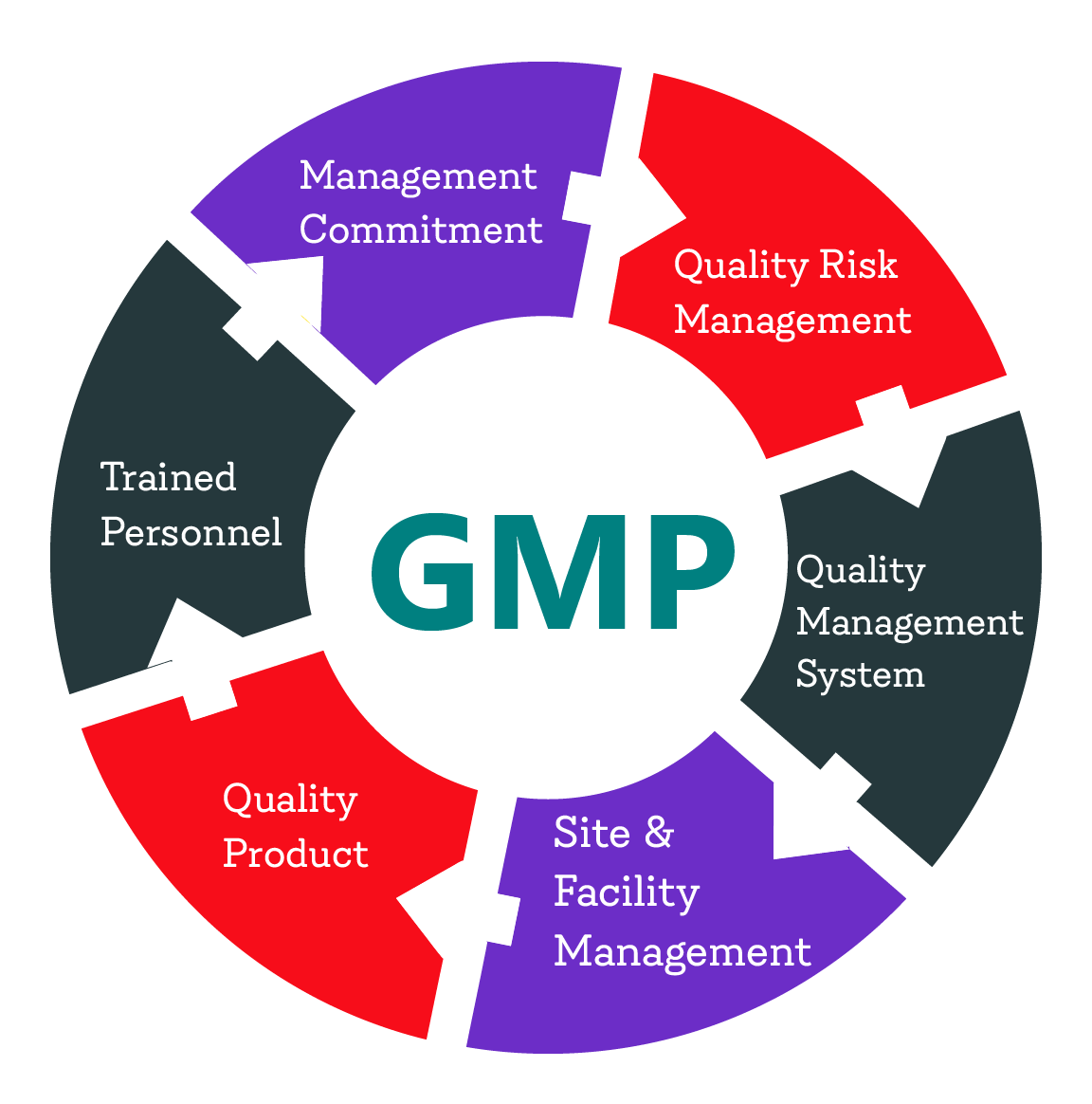 definition of GMP