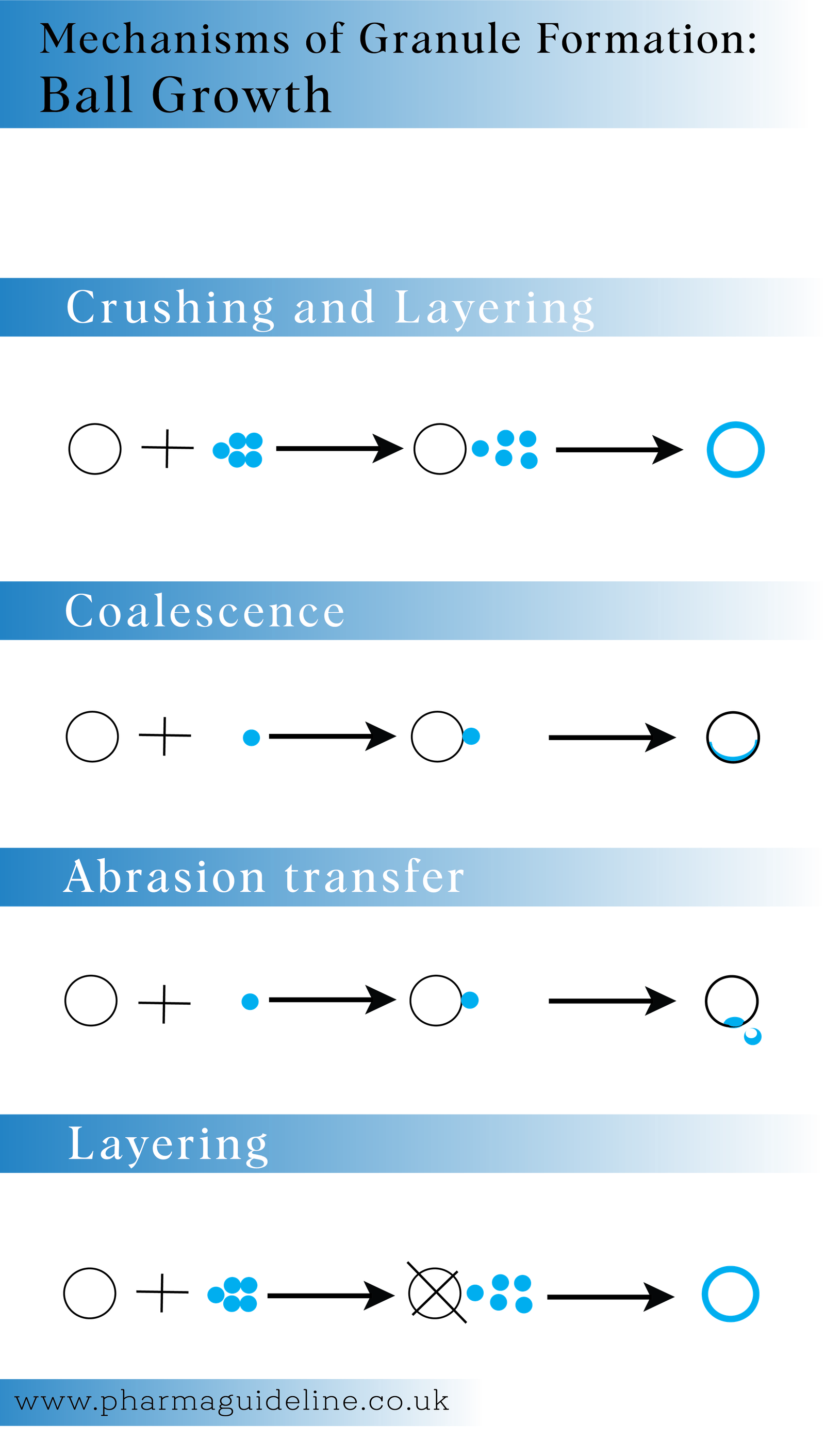 mechanisms of granule formation, ball growth
