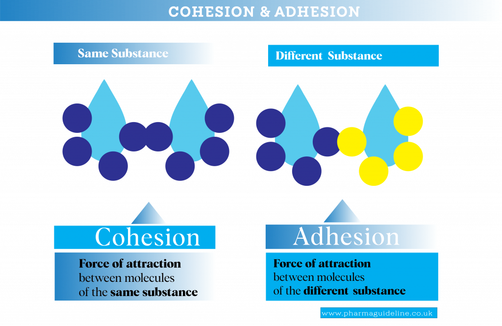 granulation, Adhesion and Cohesion