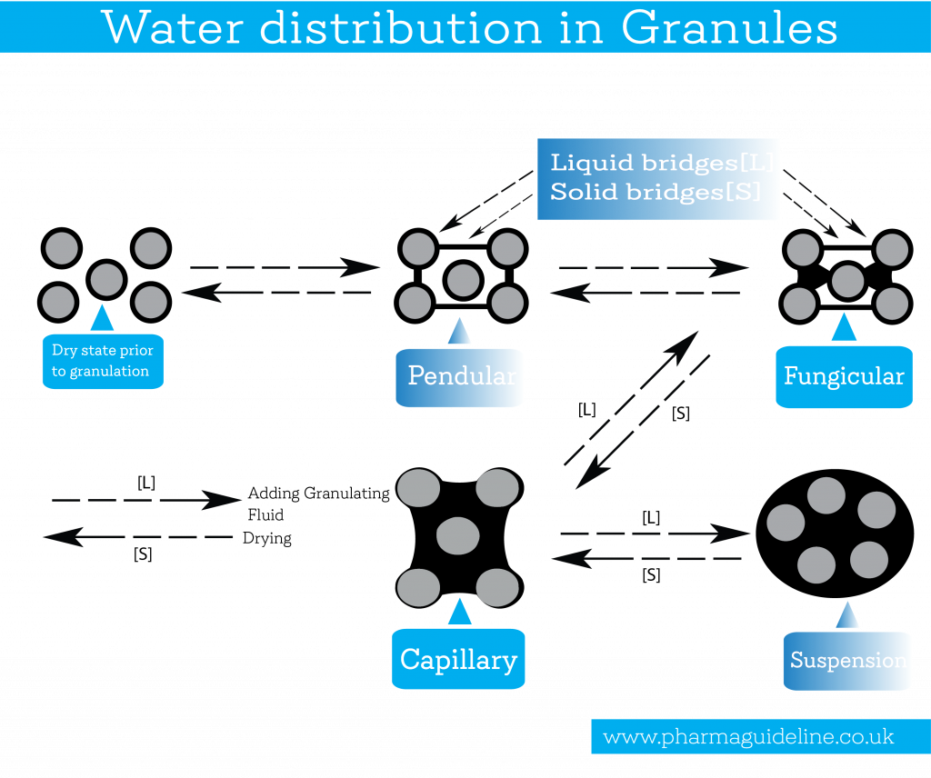 granulation, water distribution in granules