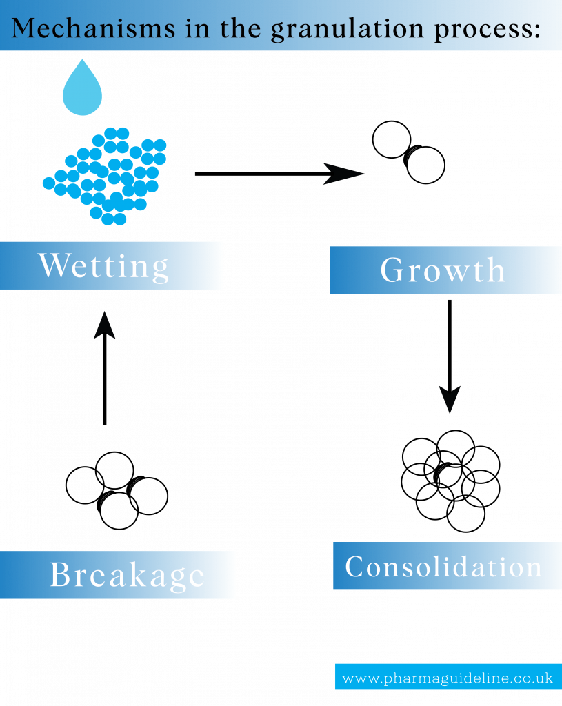 mechanisms in the granulation process