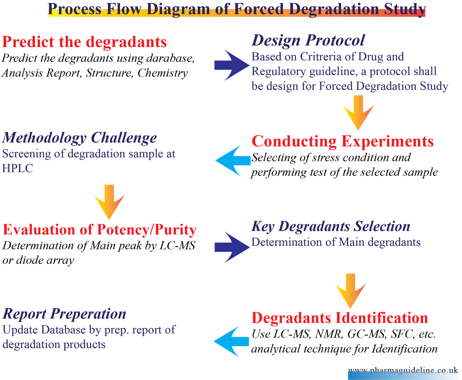 process flow diagram of forced degradation study
